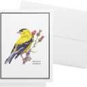 Twigs Paper - Assorted American Birds Greeting Cards - Stationery Cards with Envelopes - Thank You Card - Blank Note Cards - Greeting Cards for All Occasions - Made in USA (5.5 x 4.25, Set of 12)