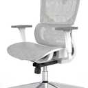 PatioMage Ergonomic Office Chair with Footrest, Big and Tall Desk Chair with Adjustable Lumbar Support, Seat Depth & 3D Armrests, High Back Mesh Computer Chair for Home Office, Grey, Large