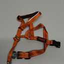 Halti Headcollar - Stop Your Dog Pulling on The Leash. Adjustable, Reflective and Lightweight, with Padded Nose Band. Dog Training Anti-Pull Collar for Medium Dogs (Size 2, Burnt Orange)