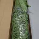 FOREST PRINCE 35" Ferns Artificial Bush Plants Large, 2 Artificial Boston Ferns with 39 Fronds for Outdoors Home Decor