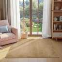 jinchan Solid Plush Area Rug 3x5 Performance Shaggy Washable Rug Indoor Soft Modern Faux Wool Cozy Non Slip Carpet for Living Room Kids Room Bedroom Dining Room Nursery Tan