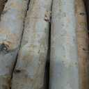 6 Pack Birch Logs Decorative Natural Birch Log for Decoration,Crafts,DIY,White Birch Logs for Fireplace Decor Firewood(Logs:1.4"-2.6" Dia. x 16.5" Length)