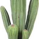 Artificial Cactus Fake Cacti 16" Faux Potted Cactus Plants for Home Store Office Decoration