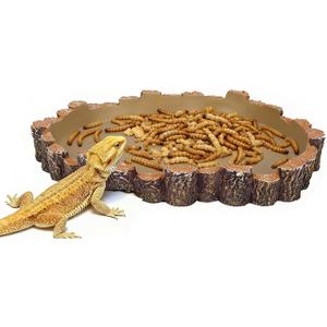 X-Large Bearded Dragon Water Dish Food Bowl, Reptile Food Dish, 9.5"x7.7"x1.4"
