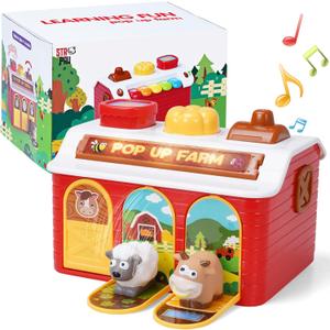 Montessori Pop Up Toy for Babies 6-12 Months - 3 Modes Cause and Effect Toys for 1 Year Old Boy Girl, Sensory Fine Motor Skill Developmental Toddler Toy