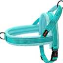 Didog Soft Flannel Padded Dog Vest Harness, No Pull/Quick Fit Reflective Dog Strap Harness, Easy for Training Walking (M:Chest 21-26", Green) (Teal)