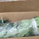 3ft Ficus Artificial Trees with Natural Curved Trunks, 36" Tall Lush Faux Tree for Home Decor Indoor, Green Lifelike Fake Ficus Tree Artificial Plants(Set of 2)
