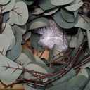 Fudios Lighted Twig Eucalyptus Garland 6FT 96 Warm White LED Battery Operated with Timer for Mantle Fireplace Wedding Party Spring Bedroom Decoration Indoor Outdoor Use