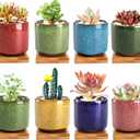 Lawei 8 Pack 2.5 Inch Mini Succulent Plant Pot with Drainage and Bamboo Tray, Small Ceramic Cactus Plant Pot, Flower Pots Faux Plants Containers for Home Garden Office Decoration(Plants NOT Included)