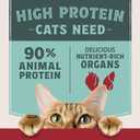 Natural Balance Ultra Protein Wet Cat Food Pate with Protein-Rich Organs for Cats, Variety Pack Recipes, Pate Cat Food with High Protein - 2.8oz. Case of 12