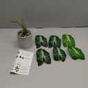 16" Small Fake Plants Artificial Tropical Faux Plants Indoor for Office Desk Shelf Bathroom Home Decor