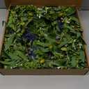 Wreaths for Front Door 22", Door Spring Wreath with Eucalyptus Olive Boxwood Leaves, Greenery Wreath Door Decoration for Spring Summer All Season Home and Outdoor