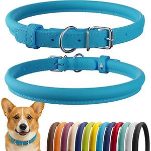 CollarDirect Rolled Leather Dog Collar, Soft Padded Round Puppy Collar, Handmade Genuine Leather Collar Dog Small Large Cat Collars (11-14 Inch, Light Blue)