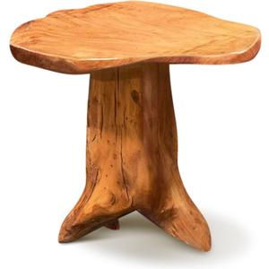 Cedar Root Natural Wood Side Table, Small Side Table, Unique Design Live Edge Wood Stool, 13.5"x12"x14"H, Rustic Mushroom Stool for Bedroom Living Room Patio Accent Outdoor Garden