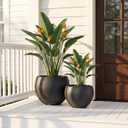 Round Planter Pots for Outdoor Indoor Plants(13"&10"), Set of 2 Lightweight Concrete Planters with Drainage Hole, Large Olive Tree Pots for Plants Front Porch, Patio, Home Decor - Black