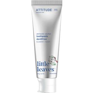 ATTITUDE Toothpaste with Fluoride, Prevents Tooth Decay and Cavities, Vegan, Cruelty-Free and Sugar-Free, Blueberry, 4.2 Oz (Pack of 1)