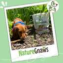 Nature Gnaws Tripe Twists for Dogs 4-5" (20 Count) - Crunchy Grain Free Reward Snack for Small, Medium & Large Breeds - Natural Beef Dog Chew Treats - Rawhide Free