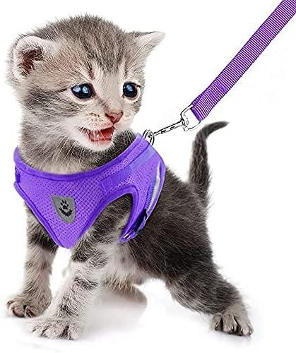 FEimaX Dog Harness and Leash Set for Walking, Soft Mesh Adjustable Easy Control Lightweight Cat Vest Harnesses with Reflective Strips, Escape Proof Small Dogs Cats Vests (Purple)
