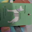 FUAMEY Recovery Suit for Dogs After Surgery Soft Bodysuit Mint Green Stripes XS