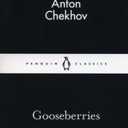 Gooseberries-34