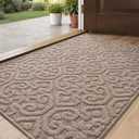 DEXI Indoor Front Door Entryway Mat Non Slip, 2x3 Washable Inside Entrance for House Floor Low Profile, Entry Doormat Absorbent Dirt Trapper, Light Beige