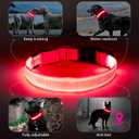 Light Up Dog Collar at Night, Led Dog Collar Adjustable, Rechargeable Waterproof, Dog Lights for Night Walking, Glow in The Dark Collar Light for Medium Large Dogs (Rose Red)
