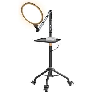 10 Ring Light, 76" Overhead Fill Light with Moveable Stand & Flexible Arm, 3000K-6500K Full-Screen Light with Wheels & Tray & Straps, Soft Lightness for Video Recording/Makeup/Studio/Live Streaming