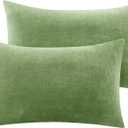 BEDELITE Flannel Pillowcases Standard Set of 2, Super Soft Fleece Pillow Case Cover with Zipper for Bedroom, Sofa, Couch, Luxury Cozy Velvet Pillow Shams for All Seasons(20x26 Inches, Sage Green)