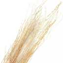 Branches for Vase, 3'4' Natural Birch Tree Branches for Decoration, Bundle of 10 Tall Decorative Sticks for Vases, Rustic Wood Branches for Crafts, Weddings, Seasonal & Home Décor - Gold