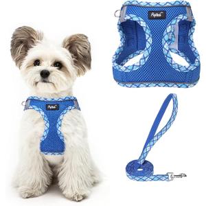 PUPTECK Dog Harness and Leash Set for Small Medium Dogs No Pull Step-in Soft Mesh Puppy Cat Vest Harnesses Reflective at Night, Upgraded New Blue XS (XS(CHEST 13"-14.5", 3-9 lbs))