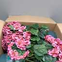 Artificial Geranium Bush 20 Inch Outdoor Potted Artificial Plant for Front Porch, UV Resistant Faux Flower Bush for Garden, Yard & Patio Decor (2 Pack)