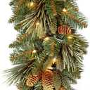 National Tree Company 9 ft Pre-Lit Carolina Pine Artificial Christmas Garland, Christmas Decoration with Pinecones, 100 Warm White LED Lights, 240 Tips, Timer, Green