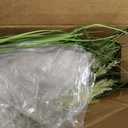 5ft/59in Artificial Plants Outdoor Indoor,Fake Onion Grass In Pot