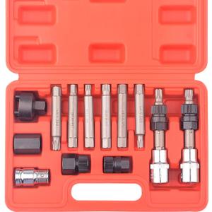 DAYUAN 13 Pc Alternator Freewheel Pulley Car Garage Tool Kit Hex Spline Star Bits