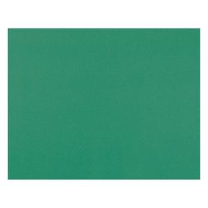 Pacon 4-Ply Railroad Board, Holiday Green, 22" x 28", 25 Count