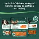 Healthfuls Sweet Potato Slices Healthy Dog Treats  Limited Ingredient, Grain Free, Made from Real Dried Sweet Potatoes, 16 oz (EXP 09/10/27)