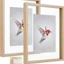 MUYE 11x14 Floating Frame Set of 2,Double Glass Rustic Frame,Display Any Size Photo up to 11x14,Wall Mount or Tabletop Standing,Natural
