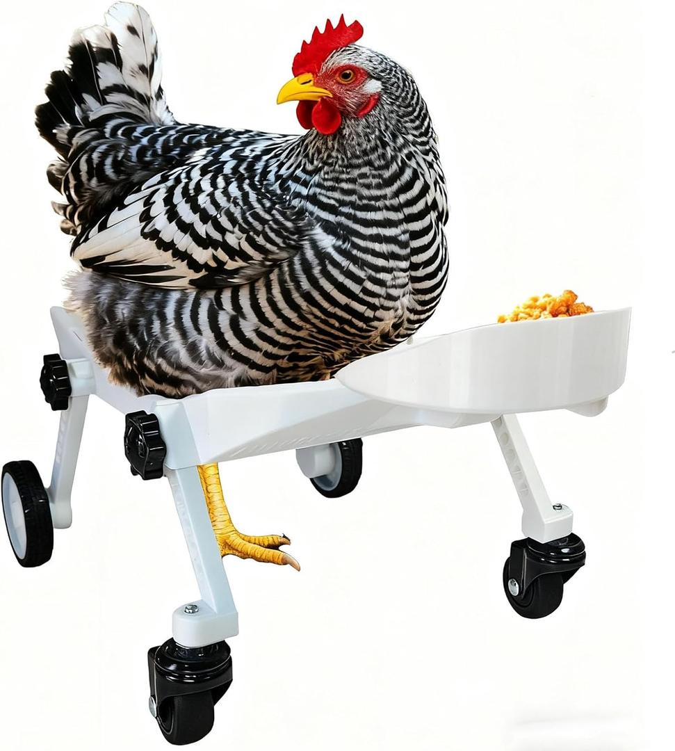 Adjustable Small-Scale Pet Chicken Wheelchair - Small Pet Poultry Mobility Aid Cart, Adjustable Size for Comfortable Use, Supports Injured/Disabled Poultry to Move Freely