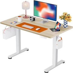 ErGear Height Adjustable Electric Standing Desk, 44 x 24 Inches Sit Stand up Desk, Memory Computer Home Office Desk, Natural