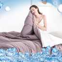 DREAMHOUR Reversible Cooling Comforter Queen All Season Down Alternative Duvet for Hot Sleepers and Night Sweats, Washable Lightweight Cooling Blanket,Purple,108"x98"