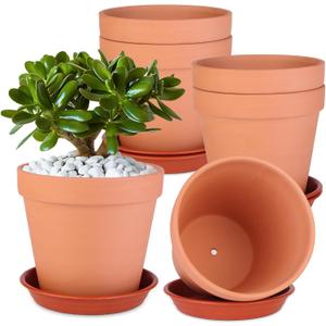 6 Pack 6 Inch Terracotta & Clay Pots with Saucer for Plants, Large Terra Cotta Plant Pot with Drainage Hole, Flowerpot for Indoor Outdoor Plants, Crafts, Wedding Favor