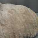 Exclusivo Mezcla California King Size Flannel Fleece Blanket, Super Soft Striped Jacquard Bed Oversized Blanket, Lightweight Fuzzy Cozy for All Seasons, 120x120 Inches, Beige