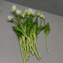 15pcs Artificial Tulips Flowers,Latex Bouquet, Fake Tulips for Office Wedding Party Home Kitchen Garden Decoration(White,15pcs)