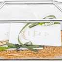NCYP 12.6" x 5.9" x 9" Wedding Glass Cards Box with Slot and Lock, Thanks Card Holder for Keepsake, Envelops, Reception, Decorative, Silver (Glass Box Only) Slot Length 7.3 Inches