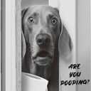 Poecinvi Funny Weimaraner Bathroom Canvas Wall Art, Black and White Funny Weimaraner Canvas Wall Art for Bath Room Washroom Restroom Decor, Dog Bathroom Decor, 15x12 Framed