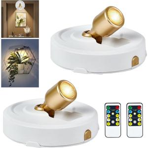 RAHAN 2Pack Battery Operated Spotlight, Picture Light with Remote Dimmable & Timer, Plants Up lighting Picture Lights for Paintings, Small LED Spot Display Lights for Wall Frame Artwork Dartboard