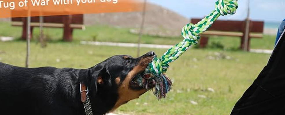 TLAZZ Dog Rope Toys for Medium Large Breed, Nearly Indestructible Dog Chew Toys for Aggressive Chewers, Teeth Cleaning Chew Toys, Dog Tug Toy for Boredom, Dog Rope Toy for Aggressive Chewers