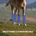 Mesh Fly Boots Horse Fly Boots Mesh Fly Wraps Leg Guard for Horse Set of 4 (DarkBlue)