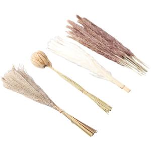 Yosoo 50 Bunny Tail Grass, 15 White Pampas, 15 Brown Pampas 20 Reed Grass Dried Pampas Grass Set for Home Wedding Decor Yosoo 50 Bunny Tail Grass, 15 White Pampas, 15 Brown Pampas 20 Reed Grass Dried Pampas Grass Set for Home Wedding Decor
