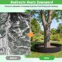 Convivium Tree Root Barrier Roll, 60mil Recycled HDPE Root & Bamboo Barrier for Landscaping, Heavy-Duty Root Blocker for Sidewalks, Driveways & Garden Edging (24in x 50ft x 60mil)